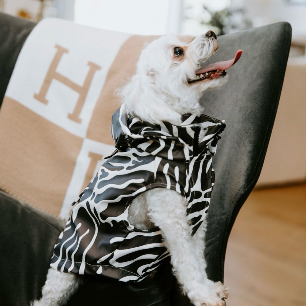 NWT Dog Zip Up Dog Raincoat Water Resistant Abstract Pattern